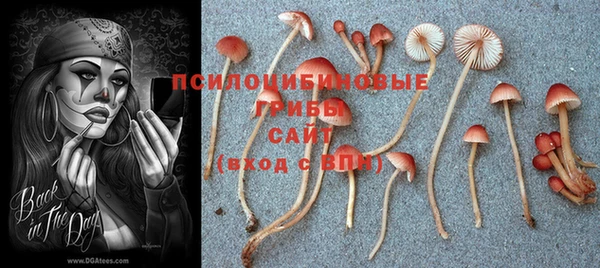 кокаин колумбия Лабытнанги