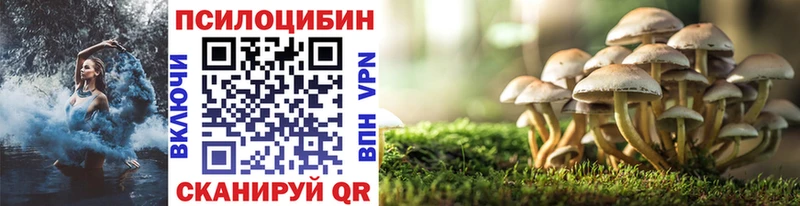 Галлюциногенные грибы Psilocybe Кирово-Чепецк